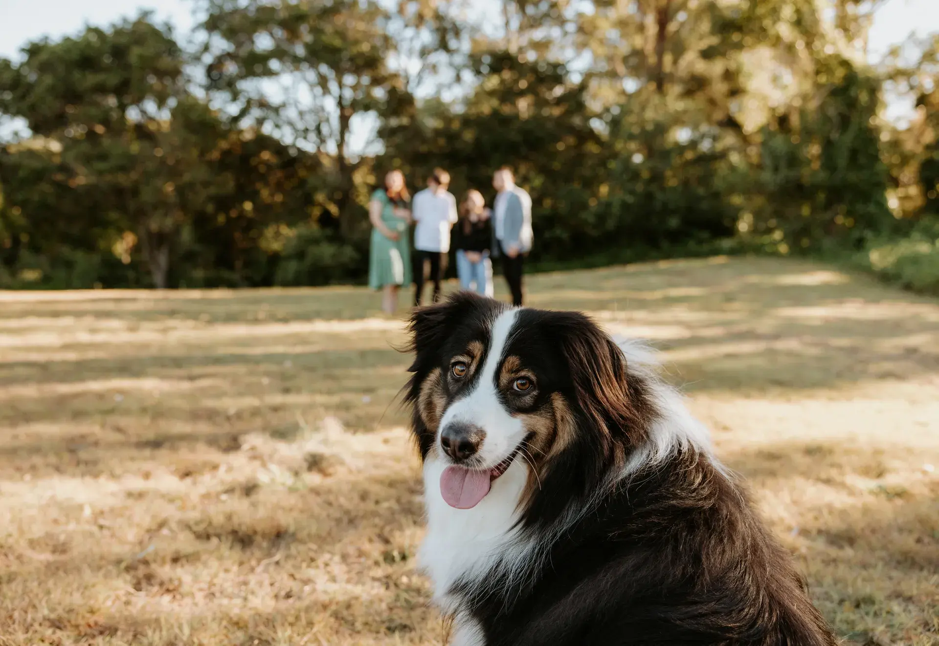 The Touch Residential family with their dog in a North Brisbane park